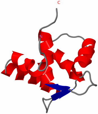 Image NMR Structure - model 1