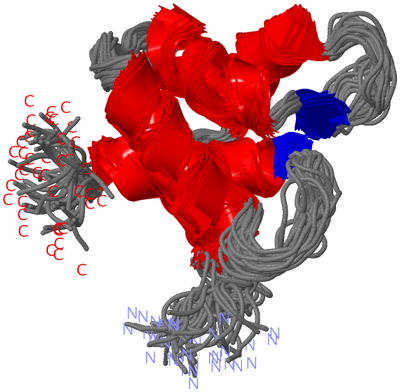 Image NMR Structure - all models