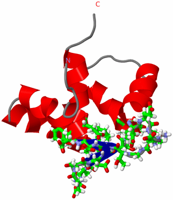 Image NMR Structure - model 1, sites