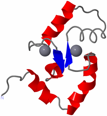 Image NMR Structure - model 1