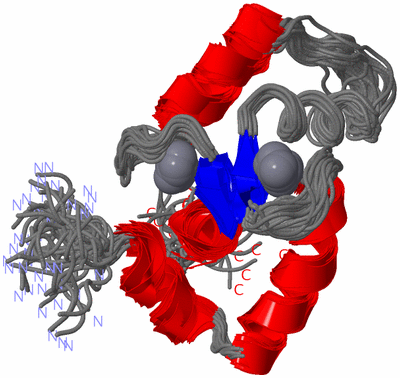 Image NMR Structure - all models