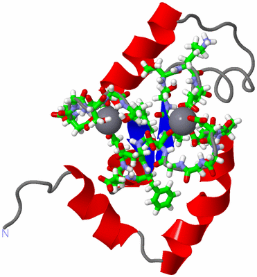 Image NMR Structure - model 1, sites