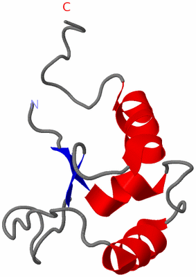 Image NMR Structure - model 1