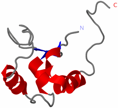 Image NMR Structure - model 1