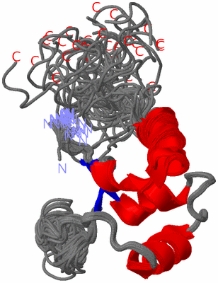 Image NMR Structure - all models