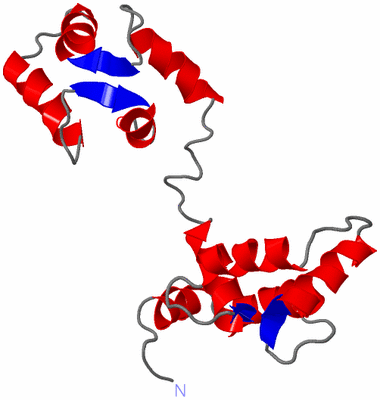 Image NMR Structure - model 1