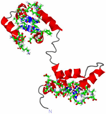 Image NMR Structure - model 1, sites