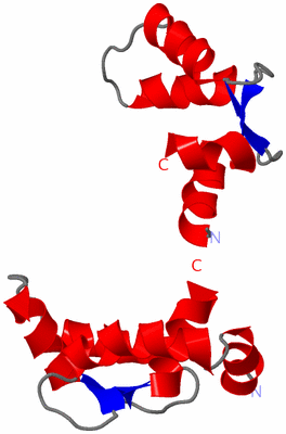 Image NMR Structure - model 1