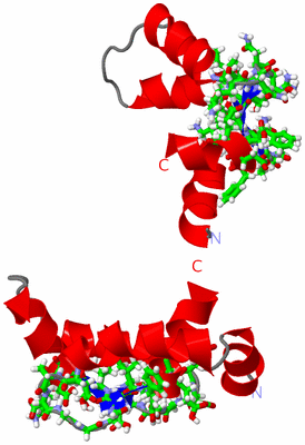 Image NMR Structure - model 1, sites