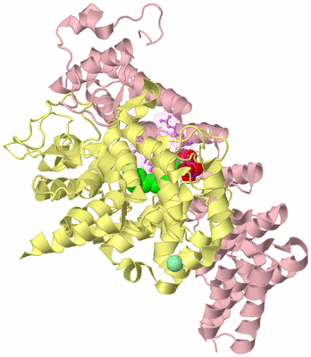 Image Biological Unit 2