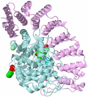 Image Biological Unit 3