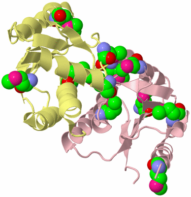 Image Biological Unit 2