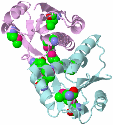 Image Biological Unit 3