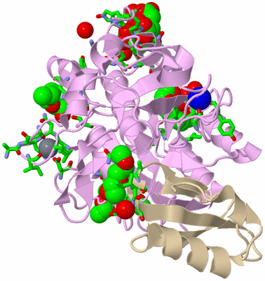 Image Asym./Biol. Unit - sites