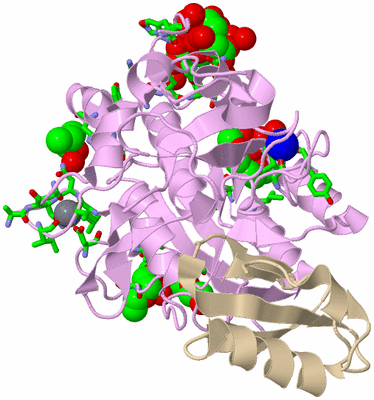 Image Asym./Biol. Unit - sites