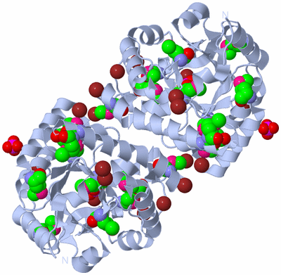 Image Biological Unit 1