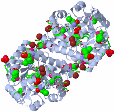 Image Biol. Unit 1 - sites