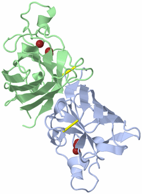 Image Biological Unit 1