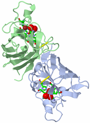 Image Biol. Unit 1 - sites