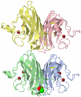 Image Asymmetric Unit