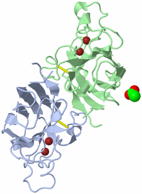 Image Biological Unit 1