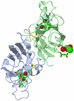 Image Biol. Unit 1 - sites
