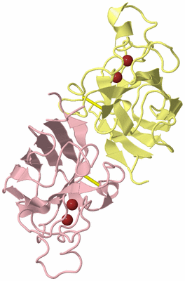 Image Biological Unit 2