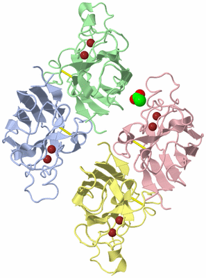Image Biological Unit 3