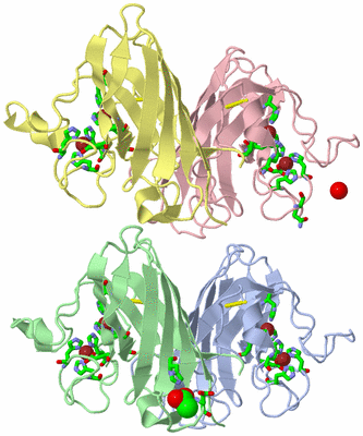 Image Asym. Unit - sites