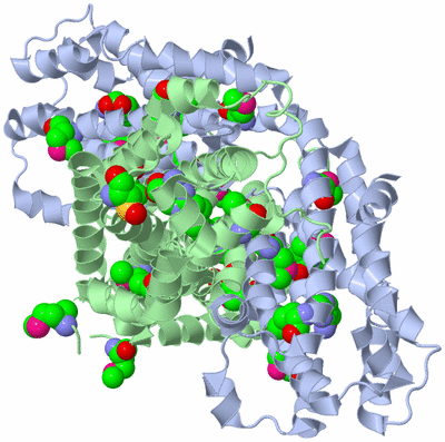 Image Biological Unit 2