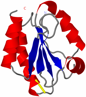 Image NMR Structure - model 1