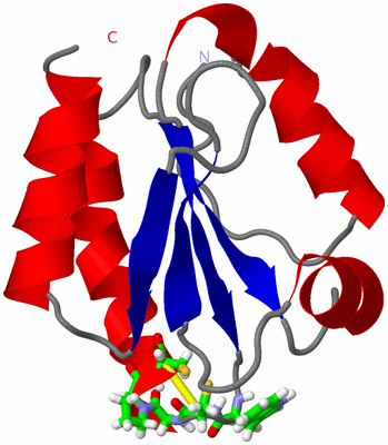 Image NMR Structure - model 1, sites