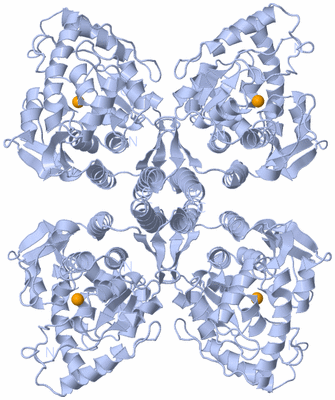 Image Biological Unit 1