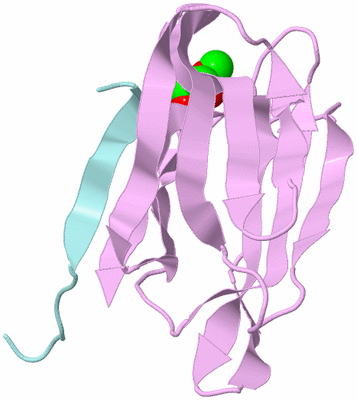 Image Biological Unit 3