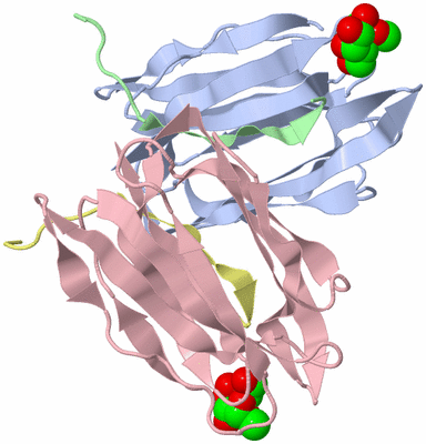 Image Biological Unit 6