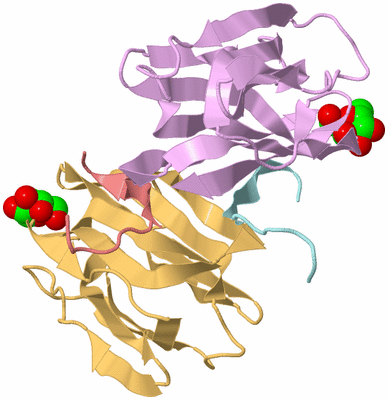 Image Biological Unit 7