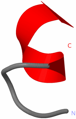 Image NMR Structure - model 1