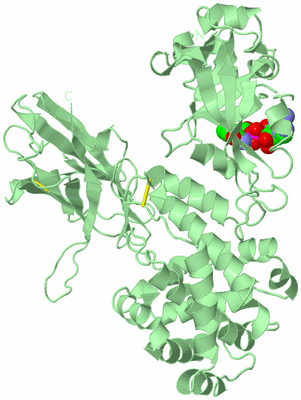 Image Biological Unit 2