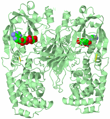 Image Biological Unit 3