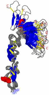 Image NMR Structure - all models