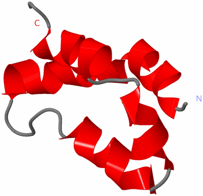 Image NMR Structure - model 1