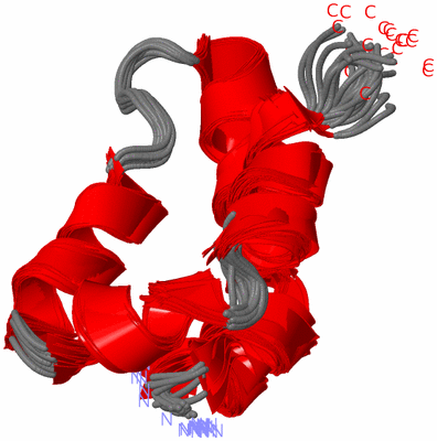 Image NMR Structure - all models