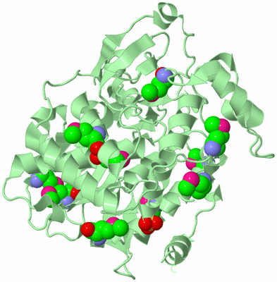 Image Biological Unit 2