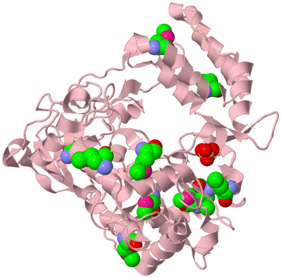 Image Biological Unit 3