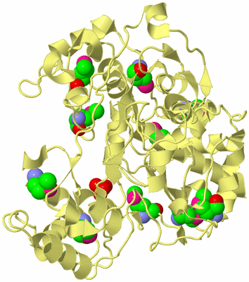 Image Biological Unit 4