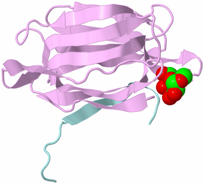 Image Biological Unit 3