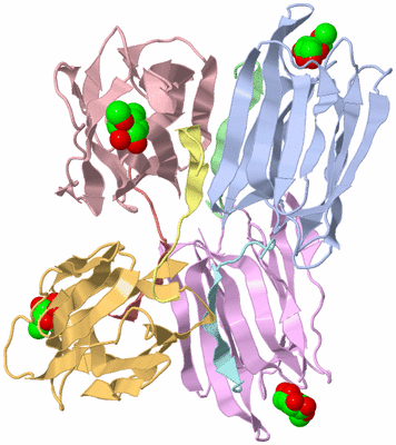 Image Biological Unit 5