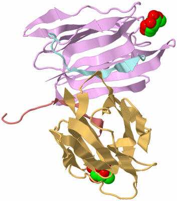 Image Biological Unit 6