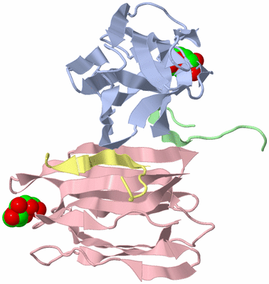 Image Biological Unit 7