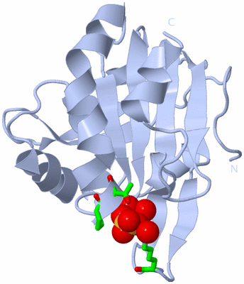 Image Biol. Unit 1 - sites